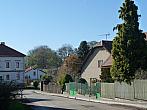 Třibřichy